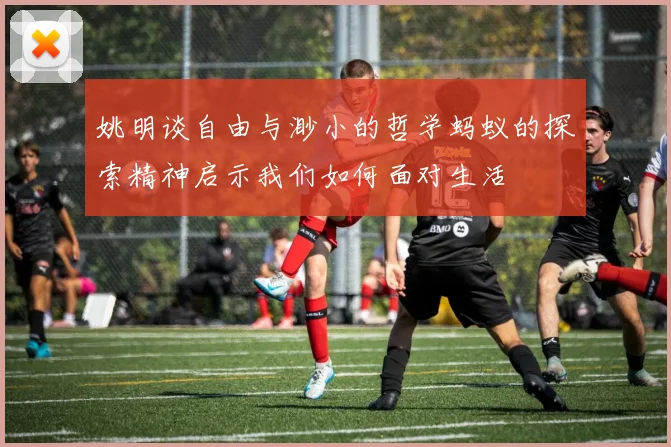 姚明谈自由与渺小的哲学蚂蚁的探索精神启示我们如何面对生活