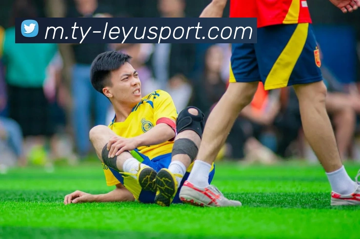 乐鱼体育平台生态图